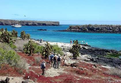 Plaza Norte à Santa Cruz aux Galapagos
