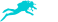Plongée