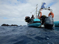 Açores - Terceira - Octopus Diving Center