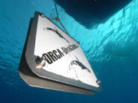 Egypte - Soma Bay - Orca Dive Clubs