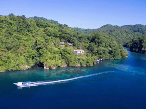 Indonésie – Sulawesi – Lembeh – Lembeh Resort