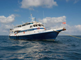 Saba - St Kitts - St Martin - Croisière plongée Caribbean Explorer II