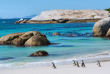 Afrique du Sud - Cape Town © Shutterstock - Photosky