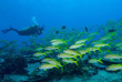 Australie - Christmas Island - Extra Divers © CITA - Glen Cowans