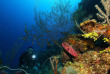 Bahamas - Andros - Small Hope Bay Lodge Dive Center