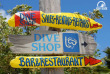 Odyssée Bonaire en liberté - Voyage plongée accompagné © Shuttersock - Sandimako