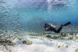 Bonaire - Dive friends