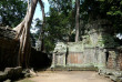 Cambodge - Le temple du Ta Phrom à Angkor