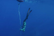 Iles Canaires - Stage apnée à Lanzarote avec Aquasport Diving