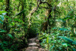 Costa Rica - Jungle, forêts et volcans du Costa Rica © Shutterstock
