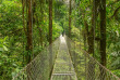 Costa Rica - Jungle, forêts et volcans du Costa Rica © Shutterstock, Dmitry Burkalov