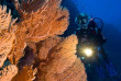 Egypte - Hamata - Red Sea Diving Safari - Wadi Lahami © Francis Le Guen