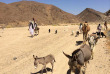 Egypte - Marsa Alam - Marsa Shagra Village - Excursion dans le désert