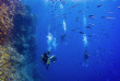 Egypte - Croisière plongée en Mer Rouge à bord du Lady M