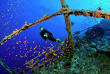 Egypte - Croisière plongée Mer Rouge - Red Sea Aggressor © Scott Johnson