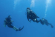 Egypte - Scuba World Divers