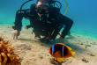 Egypte - Scuba World Divers