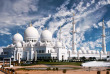 Émirats Arabes Unis - Dubai - Découverte d'Abu Dhabi © Shutterstock, In Green