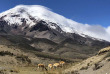 Equateur - Circuit Terres incas et Volcans Majestueux - Chimborazo © Photothèque Ultramarina