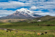 Equateur - Circuit Terres incas et Volcans Majestueux - Chimborazo © Shutterstock, Boyd Hendrikse