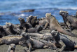 Equateur - Galapagos - Découverte des Galapagos depuis l'île de San Cristobal © Shutterstock, Gail Johnson