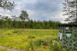 Finlande - Vartius - Au pays des Ours - ©Bear Center