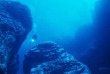 Ile de Pâques - Orca Diving Center