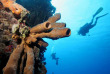 Iles Cayman - little Cayman - Reef divers