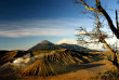 Indonésie - Java - Panorama sur le Mont Bromo