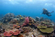Indonésie - Raja Ampat - Papua Diving © Corinne Bourbeillon
