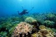 Indonésie - Sulawesi - Croisière plongée Pelagian © Leon Joubert