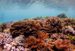 Indonésie - Sumbawa Komodo - Kalimaya Dive Center