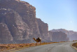 Jordanie - Le meilleur de la Jordanie - Autotour © Shutterstock, Travelwild