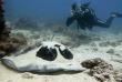 Madagascar - Nosy Iranja - Babala Diving