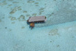 Maldives - Medhufushi Island Resort - Lagoon Suite