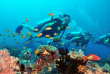 Découverte de la plongée aux Maldives avec Euro-Divers