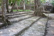 Mexique - Yucatan, Calakmul © smej - Shutterstock