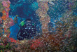 Micronésie - Truk - Truk Lagoon Dive Center
