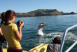 Nouvelle-Zélande - Bay of Islands - Nage avec les dauphins dans la Bay of Islands