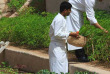 Oman - Six Senses Zighy Bay - Restaurant, les jardins bio © Herbert Ypma