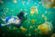 Palau - Jellyfish Lake © SPTO, David Kirkland