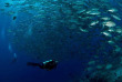 Philippines - Croisière plongée Atlantis Azores