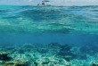 Polynésie - Tikehau - Snorkeling © Tikehau Plongée