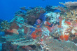 Seychelles - La Digue - Trek Divers