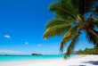 Seychelles - Praslin - Paradise Sun Praslin