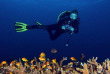 Tanzanie - Pemba - Afro Divers