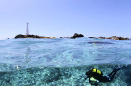 Açores - Croisière plongée avec Pico sport