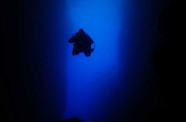 Açores - Terceira - Arraira Divers © Deavin Leary