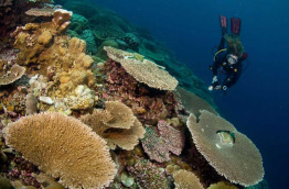 Australie - Christmas Island - Extra Divers © CITA - Udo Van Dongen