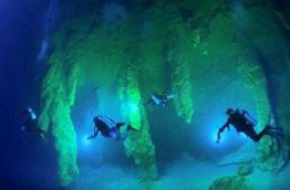 Belize - Ambergris Caye - Plongée Blue Hole avec Ramon's Village Divers © Ramon's Village